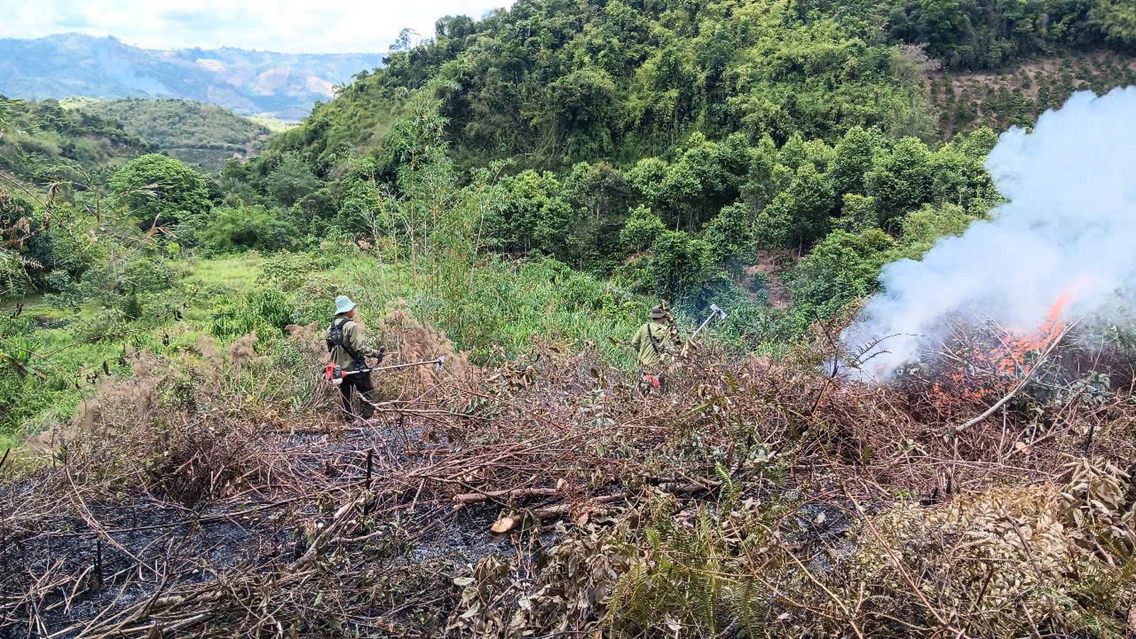 694dede608dcb36fd5a03db4