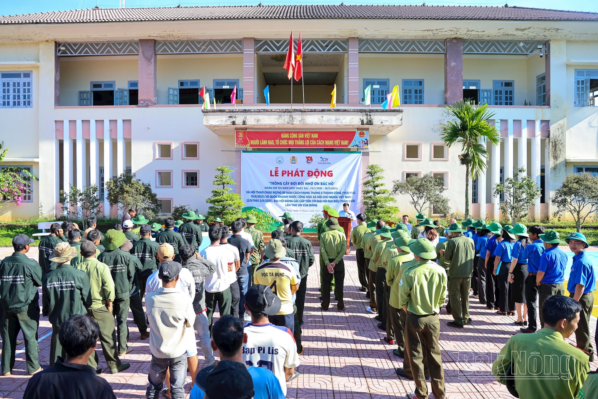 anh-11