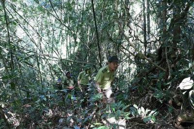 Những người thầm lặng giải cứu thú rừng trên 'nóc nhà' Đắk Nông