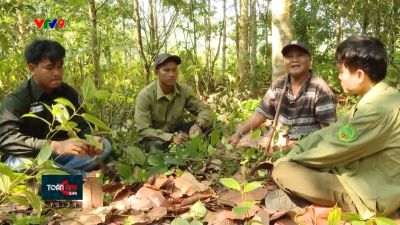 Chung tay giữ rừng bằng giao ước xanh