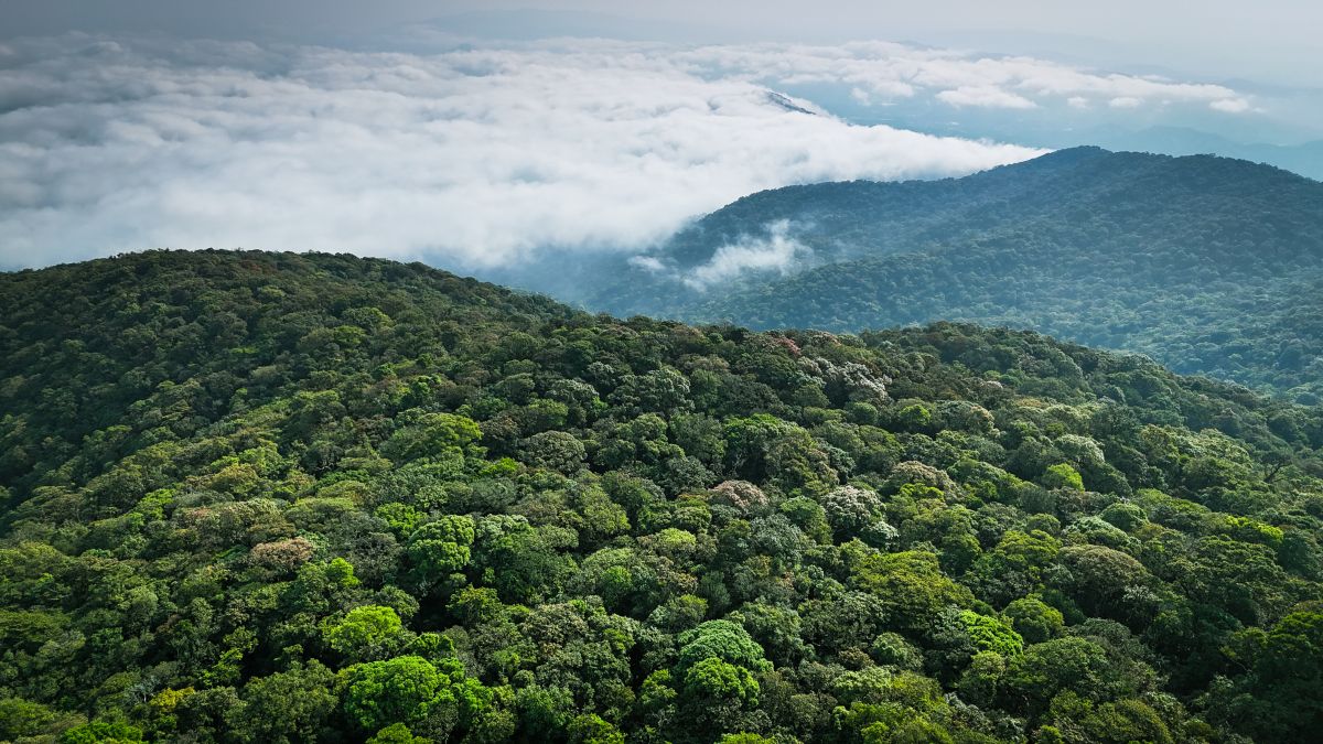 Tà Đùng - Giữ gìn báu vật thiên nhiên giữa đại ngàn Tây Nguyên