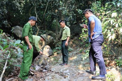 Vườn quốc gia T&agrave; Đ&ugrave;ng tiếp nhận v&agrave; thả 2 c&aacute; thể động vật hoang d&atilde; về m&ocirc;i trường tự nhi&ecirc;n