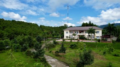 Thông báo về việc lựa chọn tổ chức hành nghề đấu giá Xe ô tô bán tải biển kiểm soát 48A-00320 của Ban Quản lý Vườn quốc gia Tà Đùng