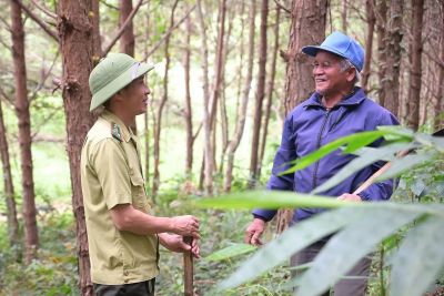 Giữ rừng T&agrave; Đ&ugrave;ng trong sắc xu&acirc;n