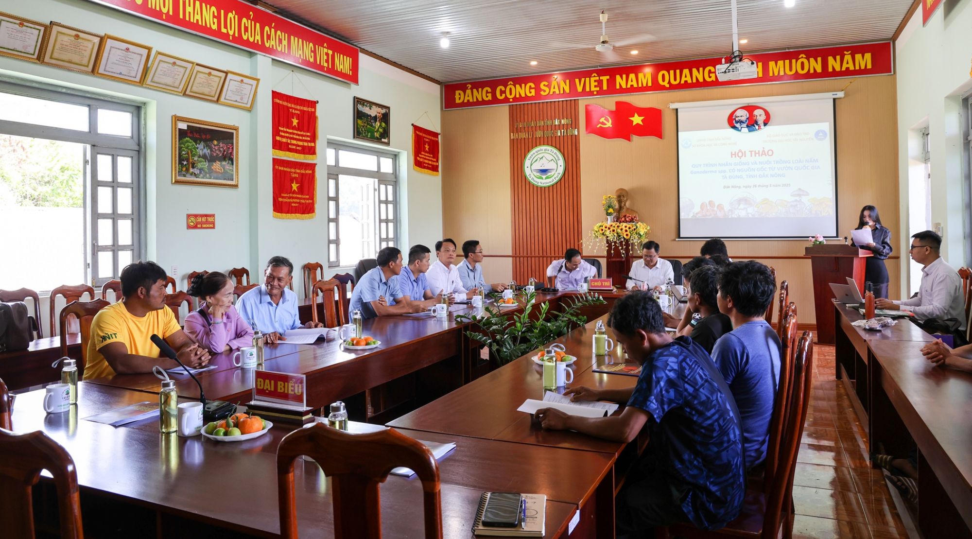 Hội thảo khoa học “Quy trình nhân giống và nuôi trồng loài nấm Ganoderma spp. có nguồn gốc từ Vườn quốc gia Tà Đùng, tỉnh Đắk Nông”
