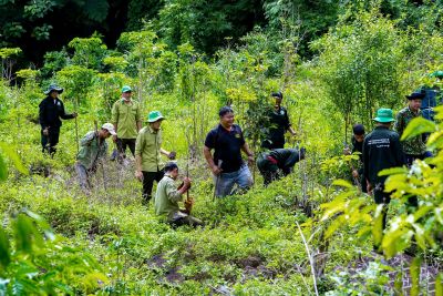 Những &ldquo;C&aacute;nh tay nối d&agrave;i&rdquo; giữa đại ng&agrave;n T&agrave; Đ&ugrave;ng