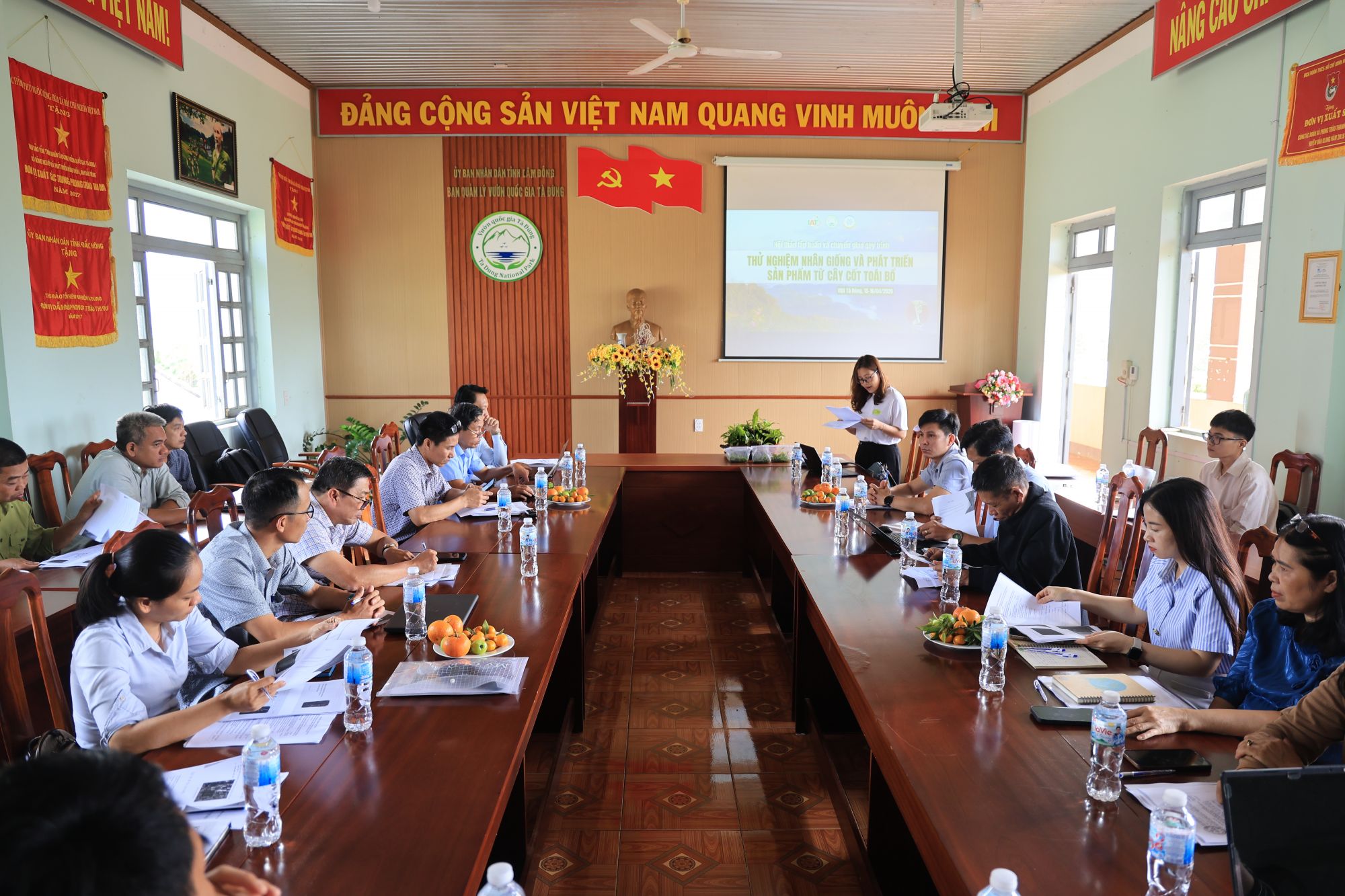 Hội thảo &ldquo;Thử nghiệm nh&acirc;n giống v&agrave; ph&aacute;t triển sản phẩm từ Cốt to&aacute;i bổ (Drynaria bonii) tại tỉnh Đắk N&ocirc;ng (cũ)