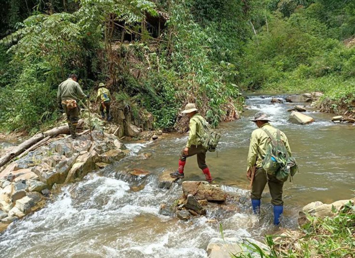 Công tác bảo vệ rừng tại Vườn quốc gia Tà Đùng
