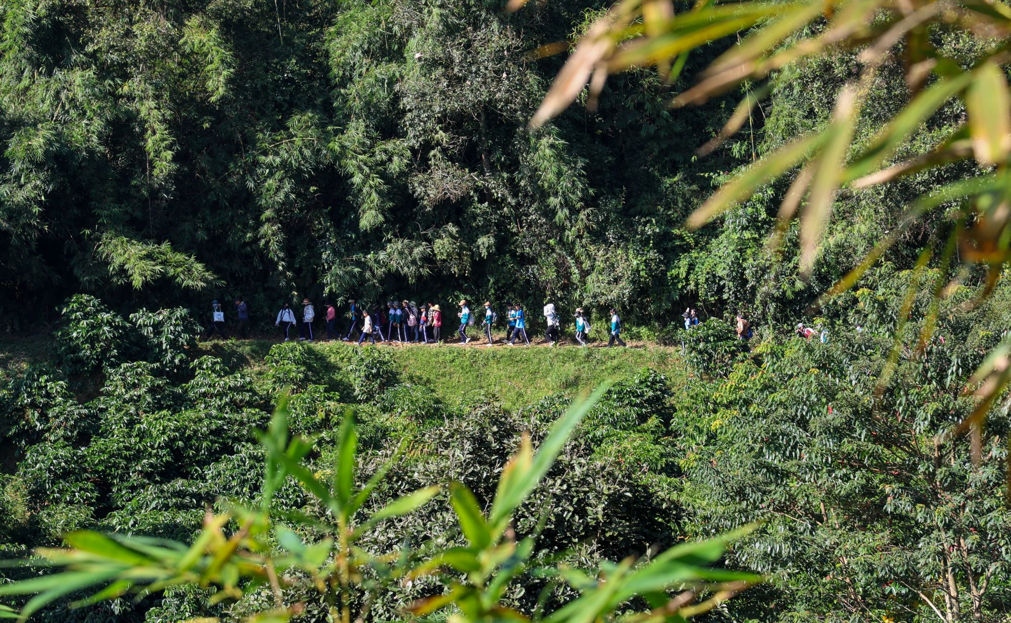Hành trình khám phá dưới tán rừng Tà Đùng: Gắn kết tập thể, nuôi dưỡng ý thức bảo vệ thiên nhiên cho những người giữ rừng “tí hon”