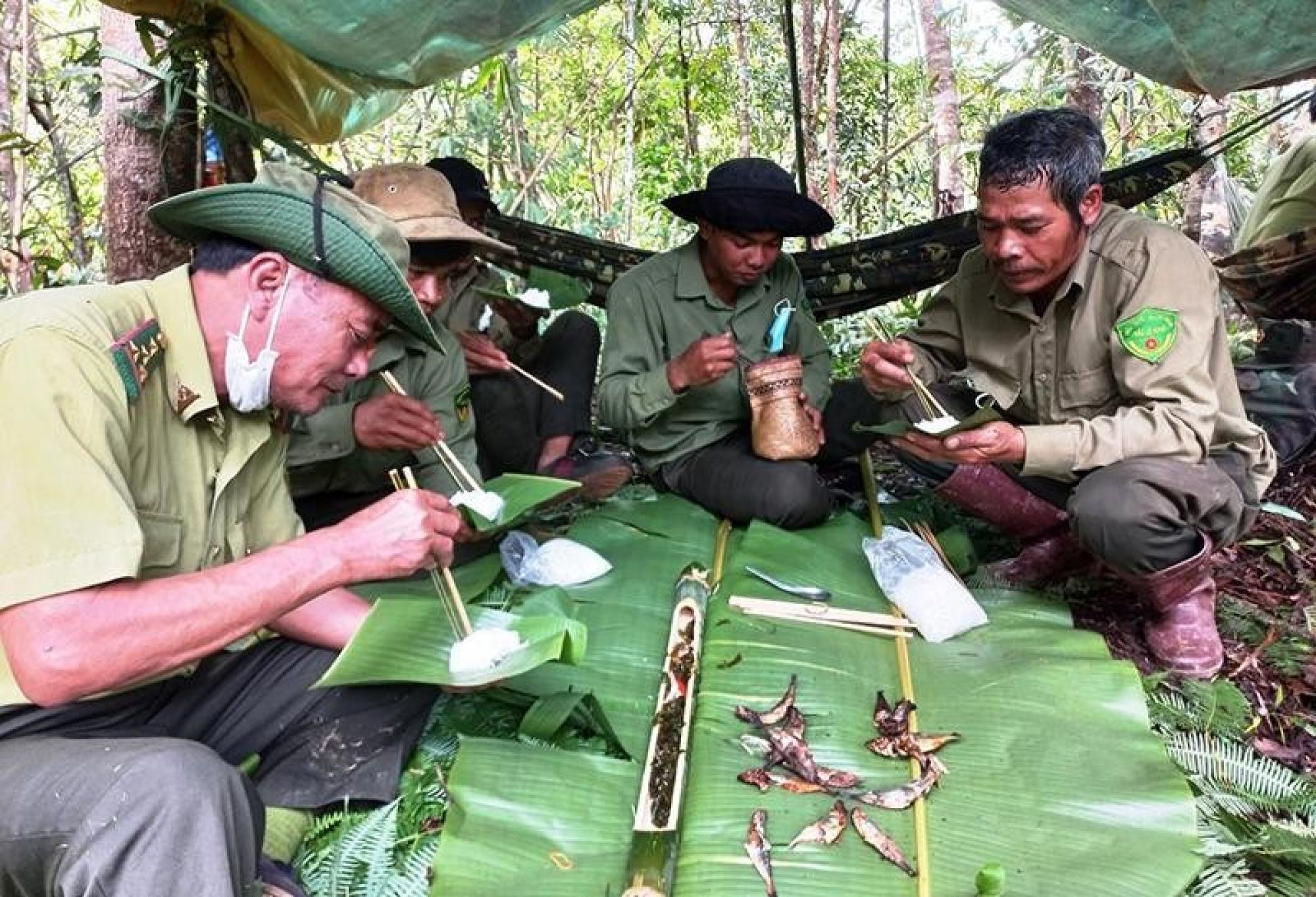 Nhân viên bảo vệ rừng ở Đắk Nông tiếp tục nghỉ việc do “mất phương hướng”