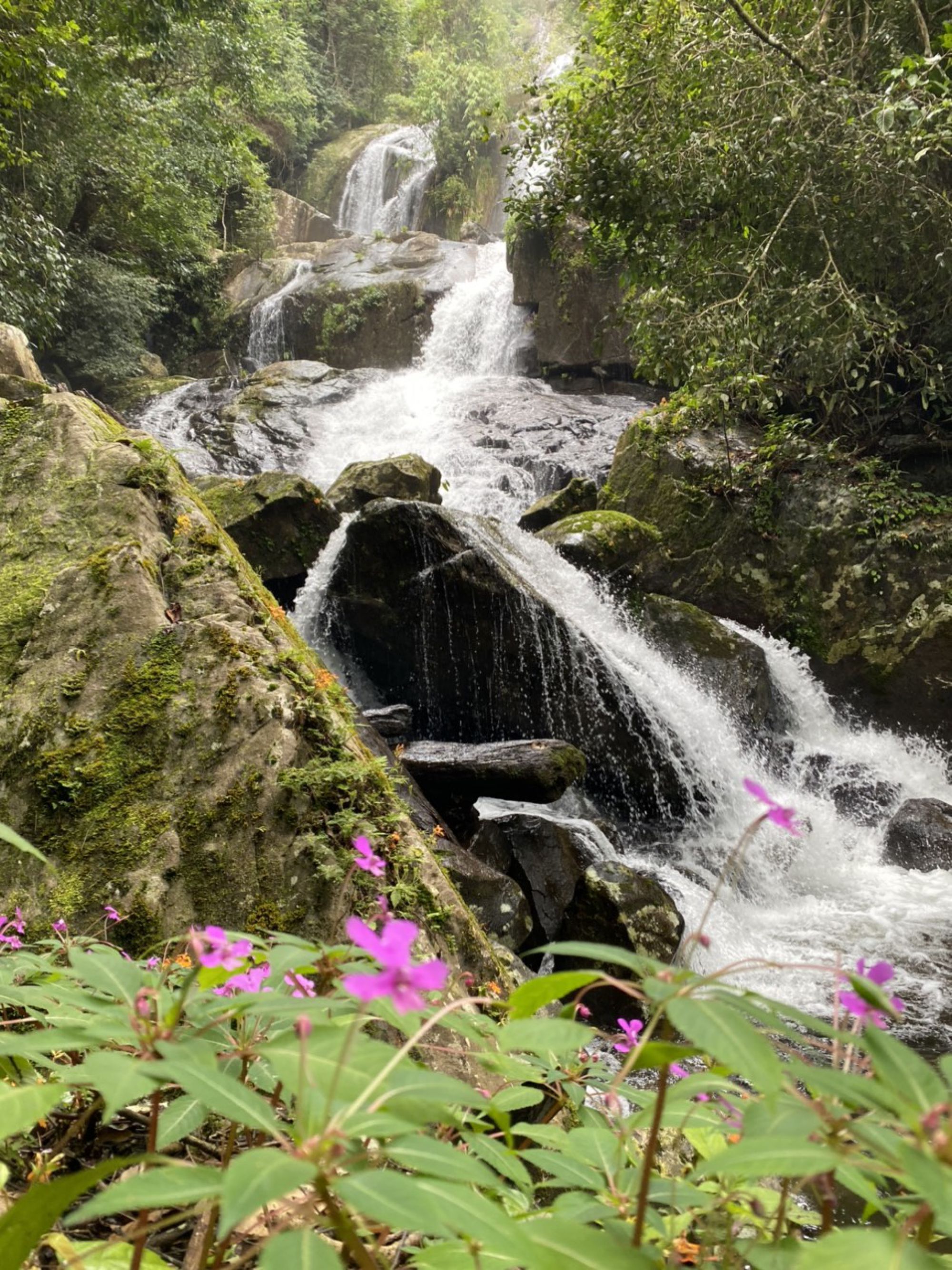 Vườn quốc gia Tà Đùng - Xanh càng thêm xanh